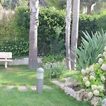 Andrea Bari